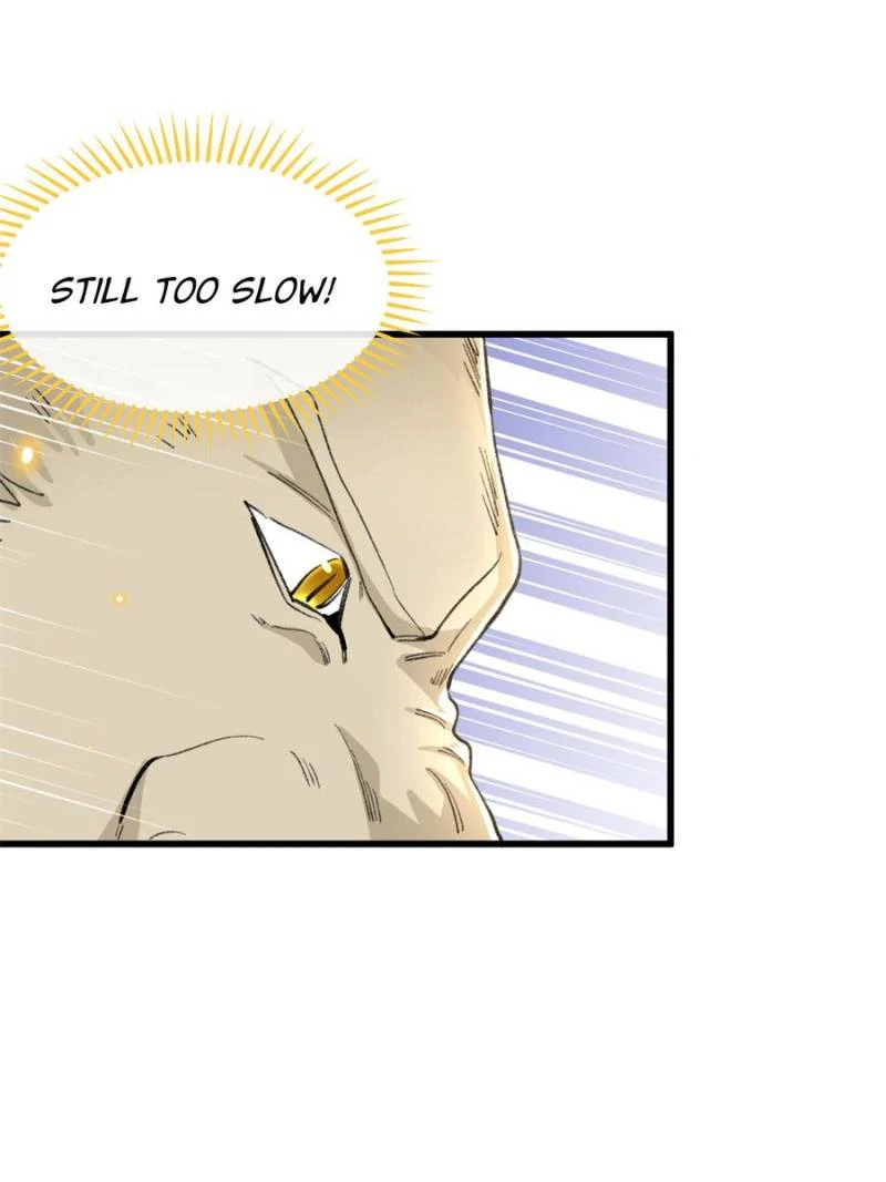 81494772 800 1067 39678